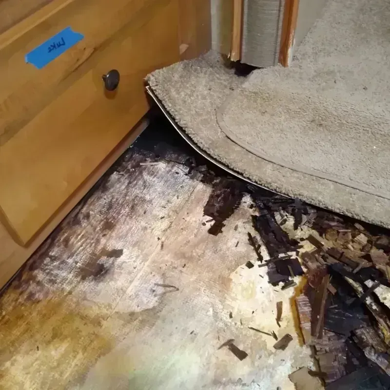 Wood Floor Water Damage in Ferndale, MI